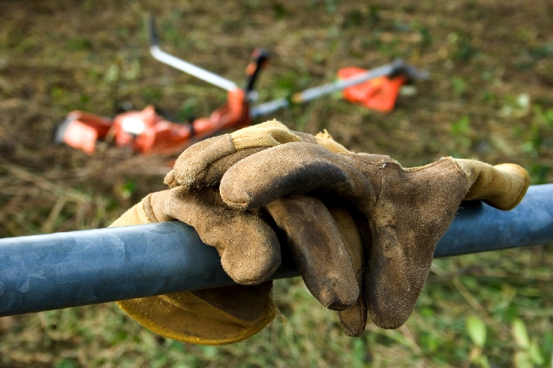 Jardinagem e Peas Para Roadeiras: