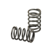 Valve Spring
